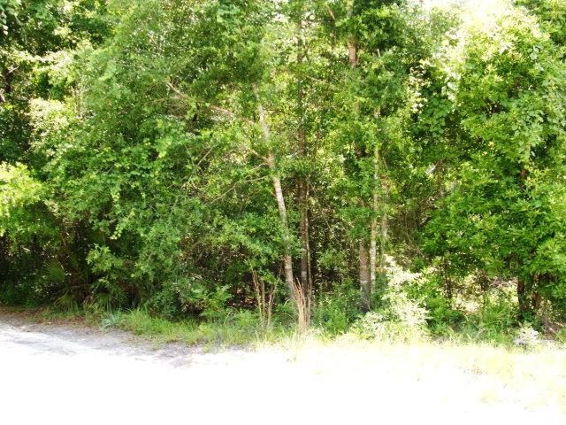 76th Terr - Photo 1