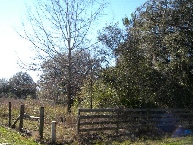 Old Fannin Rd - Photo 1 Old Fannin Rd - Photo 1
