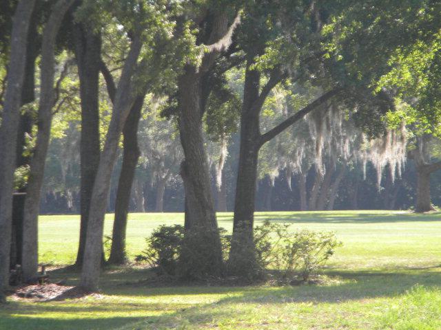 Lot 16 92nd Ct - Photo 1