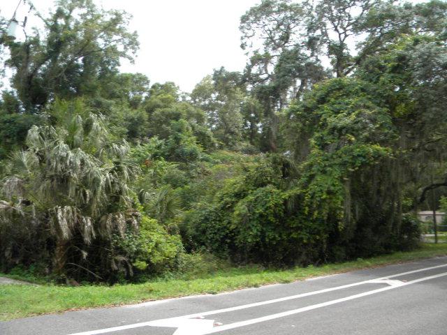 Lot 7 111th Ave - Photo 1
