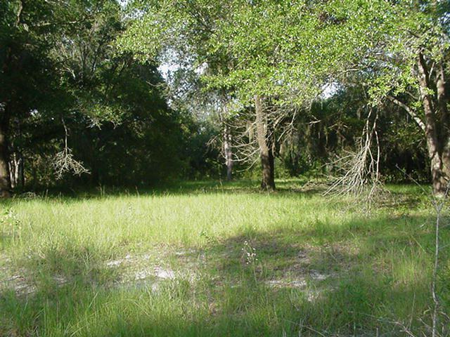 Lot 4 68th Terr - Photo 1