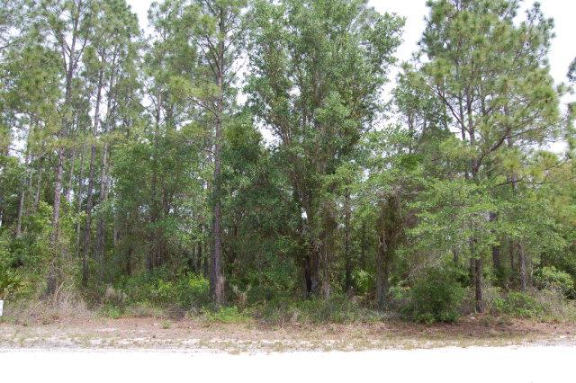Sugar Hill Ln - Photo 1