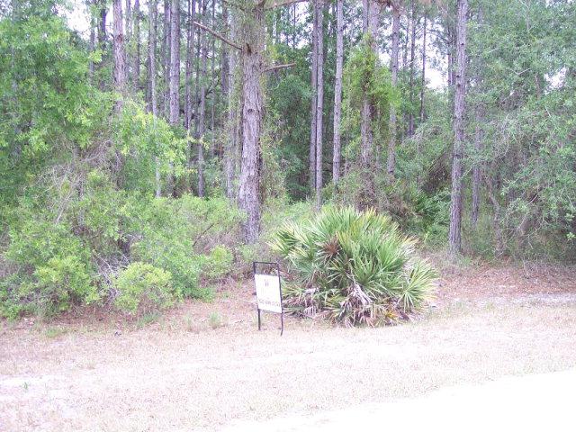 Oak Pond Circle - Photo 1