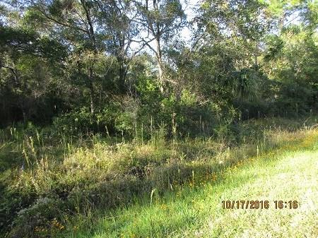 307th Ave - Photo 1