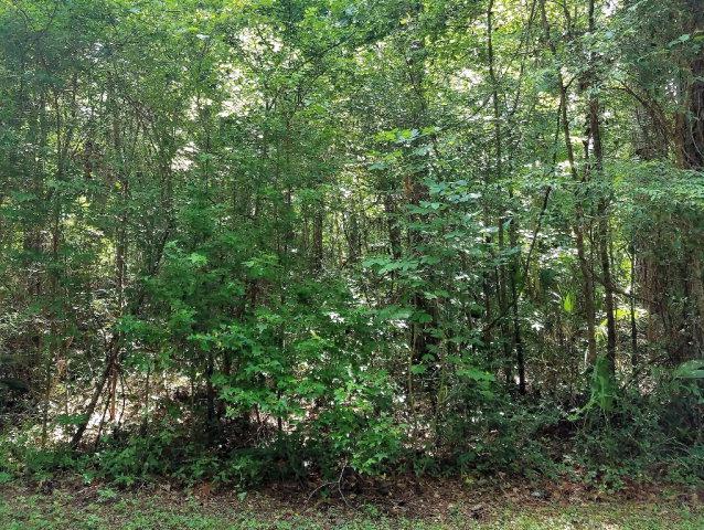 1510 Palm St - Photo 1