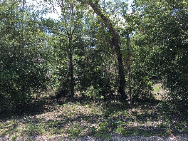 141st Terr - Photo 1