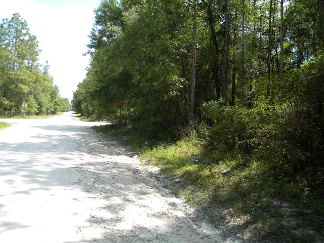 Lot 36 821st St - Photo 1