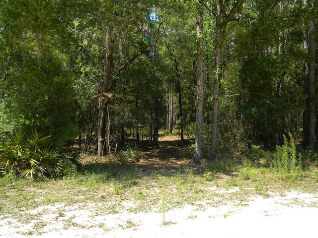 Lot 25 821st St - Photo 1