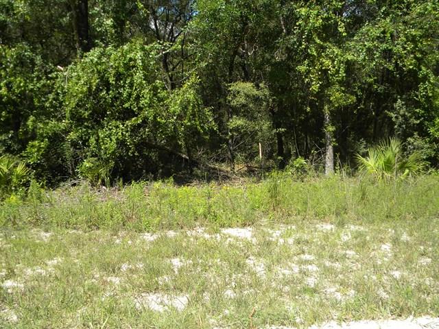 LOT 5 133RD LANE - Photo 1