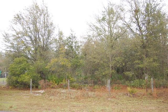 Lot 18 447th Ave - Photo 1