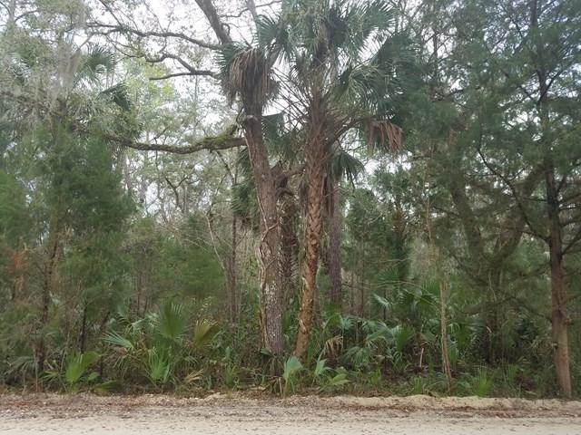 1416 Palm Street - Photo 1