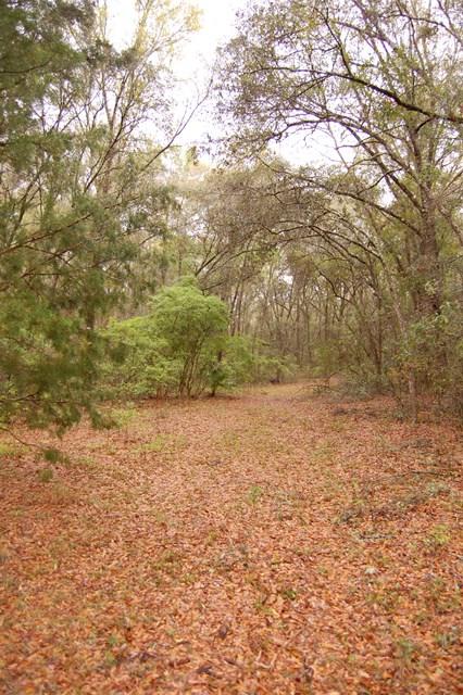 LOT 65 424TH AVE - Photo 1