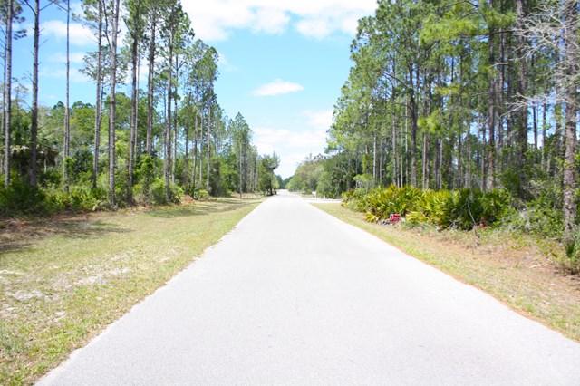 TBD Sugar Hill Lane - Photo 1