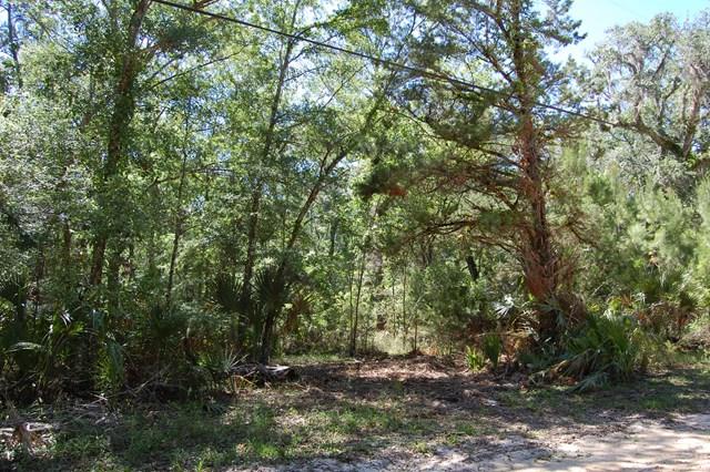 2005 River Road - Photo 1