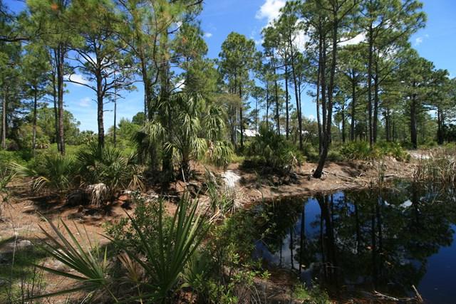 Lot 91 153rd Terrace - Photo 1