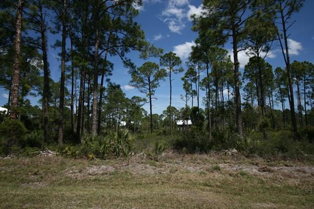 Lot 77 101st Lane - Photo 1