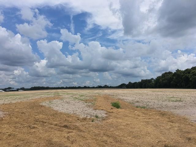 38 Acres County Road 340 - Photo 1