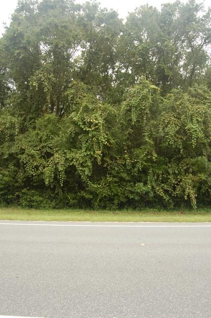 Lot 31 Highway 349 - Photo 1 Lot 31 Highway 349 - Photo 1