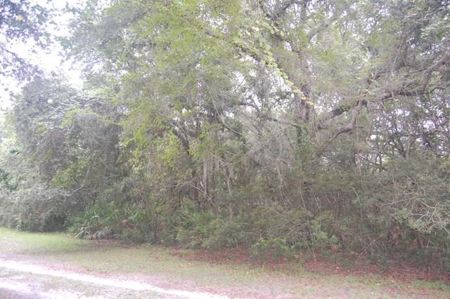 Lot 9 433RD AVE - Photo 1 Lot 9 433RD AVE - Photo 1