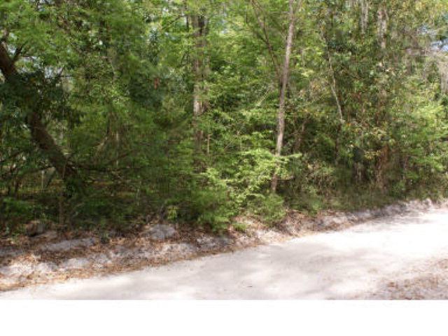 Lot 25 290th Ave - Photo 1