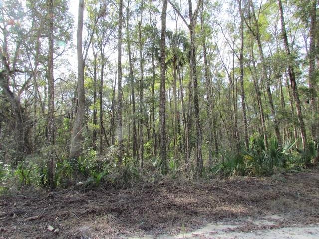 325 Avenue - Photo 1