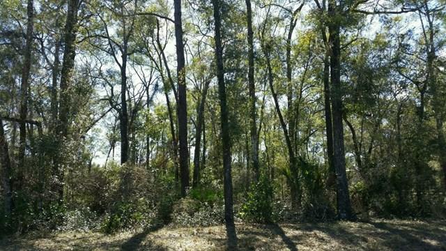 Nw 73 Street - Photo 1