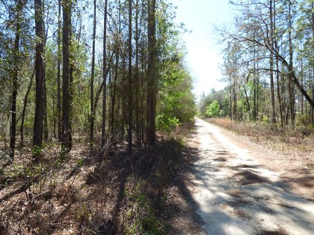 Lot 9 108 Terrace - Photo 1