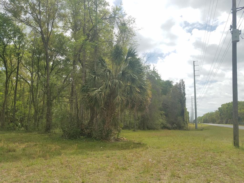 00 Hwy 349 - Photo 1
