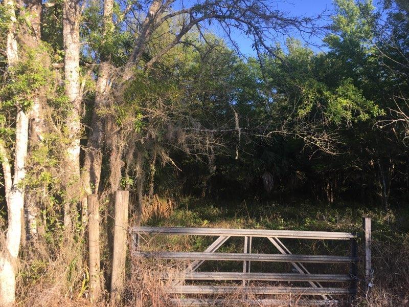 00 Puckett Road - Photo 1