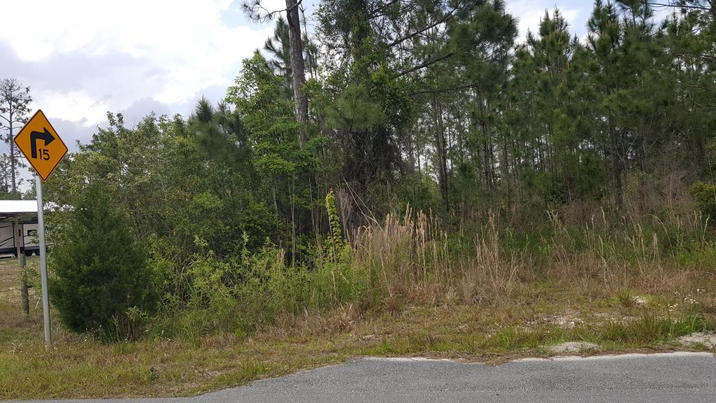 Bird Pond Road - Photo 1