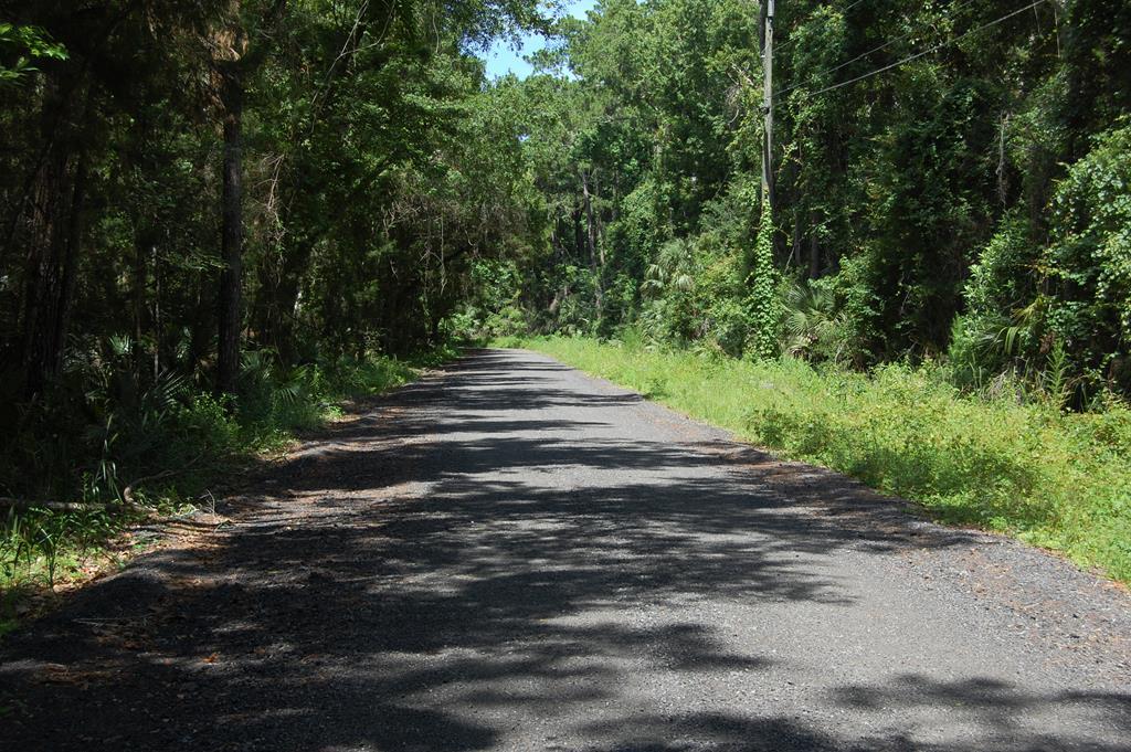 00 5th Avenue - Photo 1