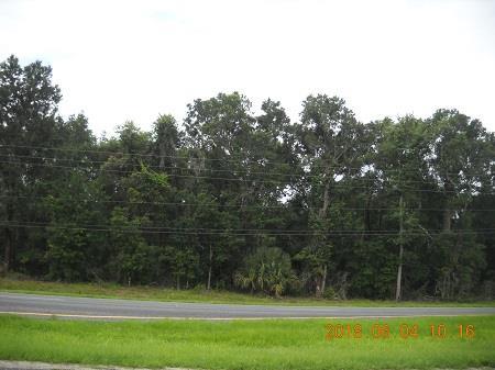 Lot 11 Hwy 19 - Photo 1