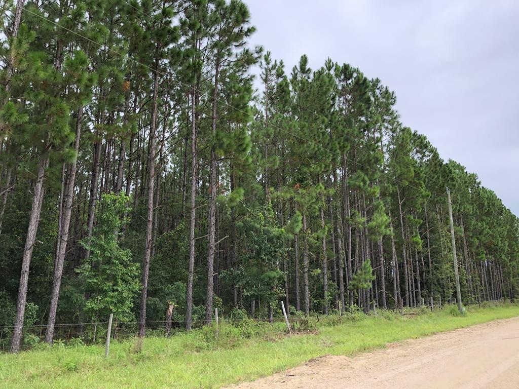 63 Lane - Photo 1