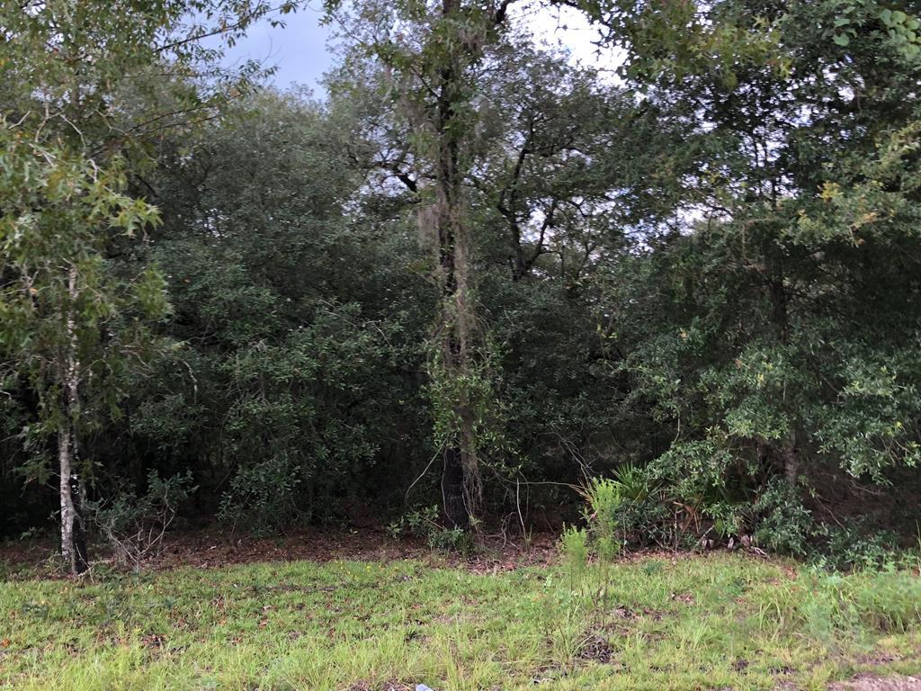 86 Lane - Photo 1