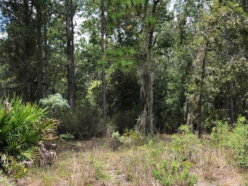 66 Lane - Photo 1
