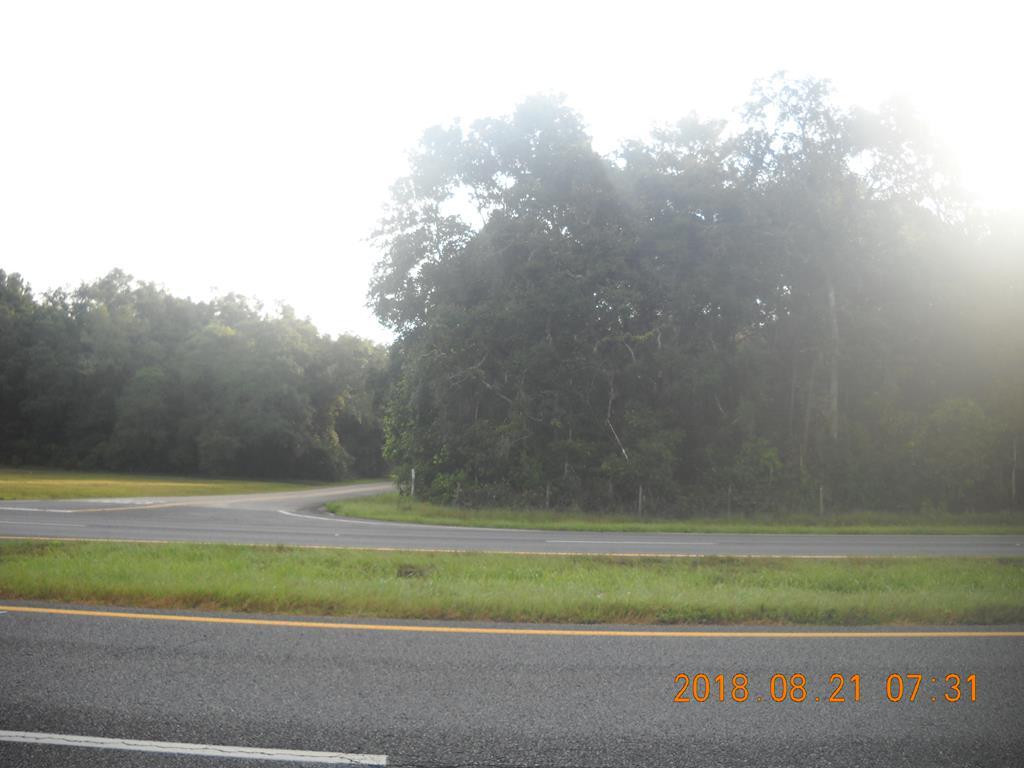 Lot 16 Hwy 19 - Photo 1