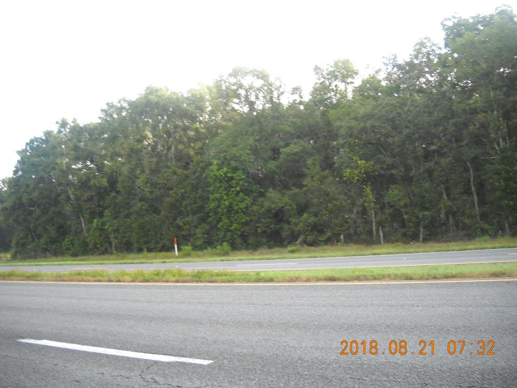 Lot 18 Hwy 19 - Photo 1