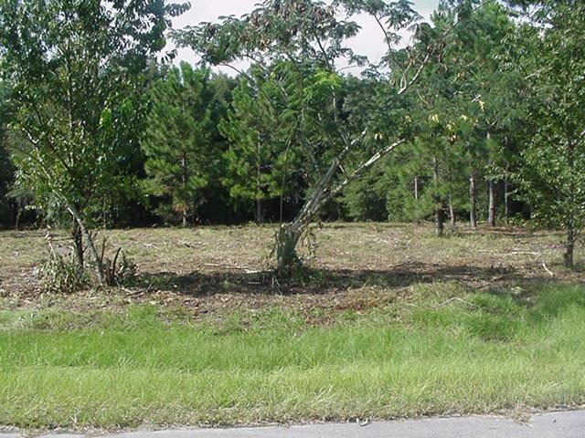 Lot 4 174th St. - Photo 1