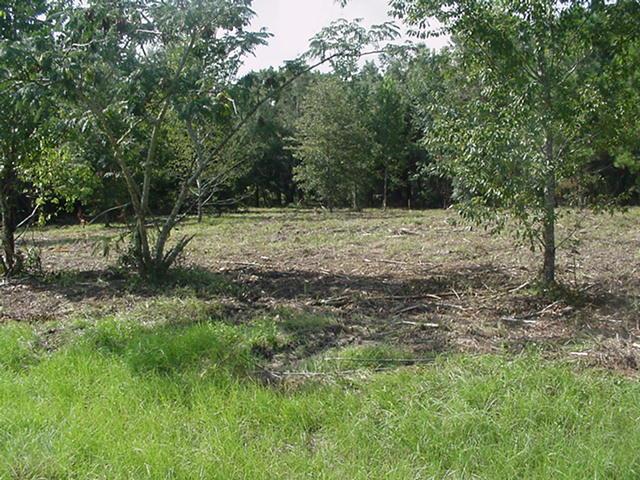Lot 3 174th St. - Photo 1