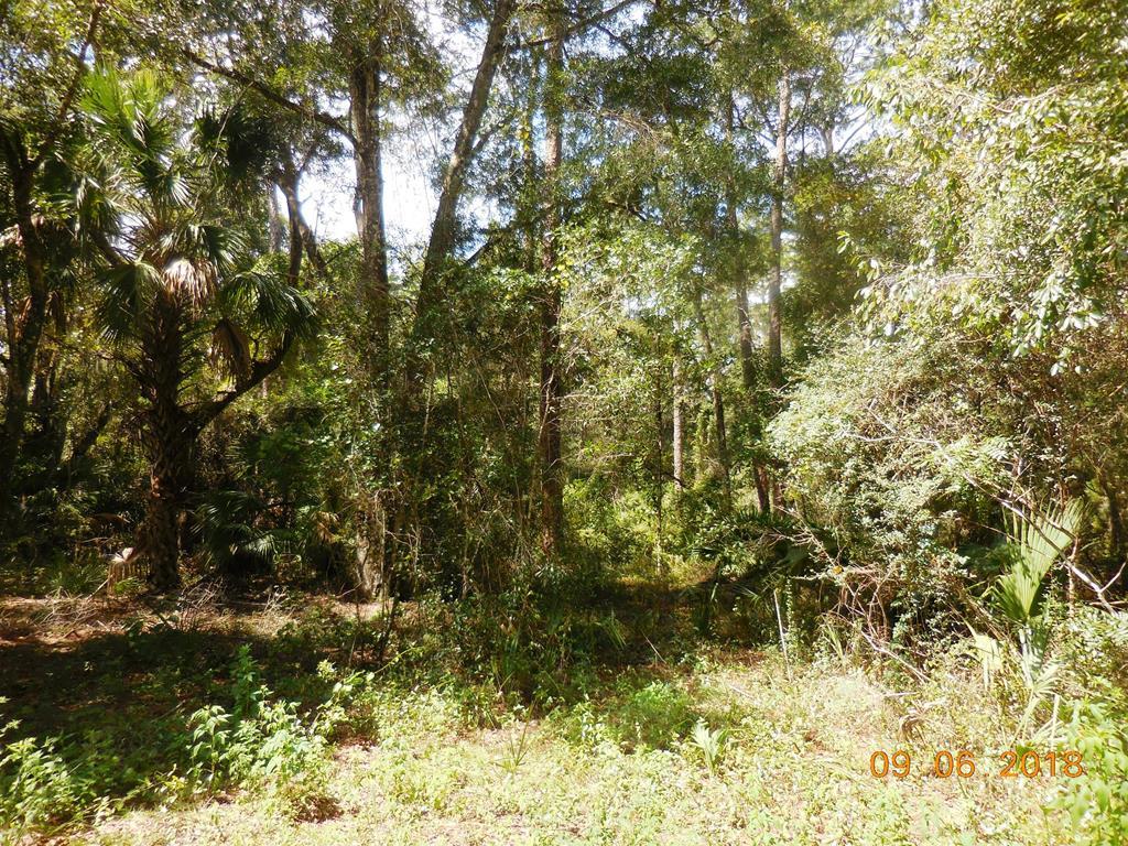 32 Ave - Photo 1