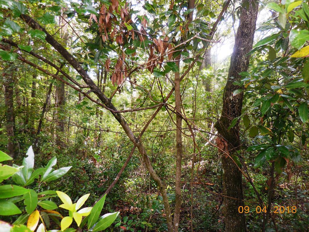 899 St. - Photo 1