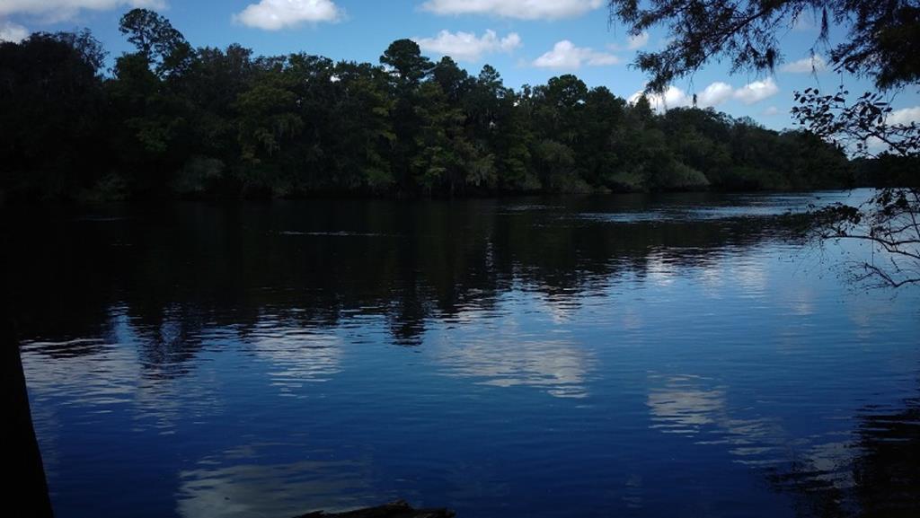 LOT 21 78th Ave - Photo 1