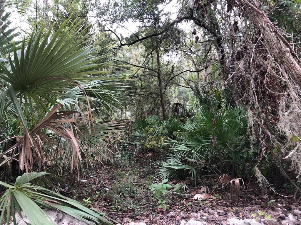 538 Avenue - Photo 1
