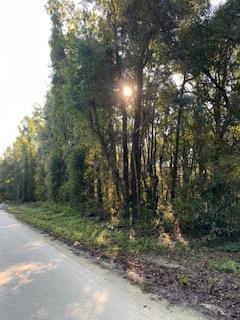 LOT 8 312TH AVE - Photo 1