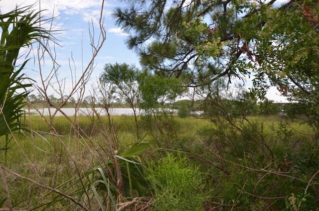 Lot 18 Hodgson Avenue - Photo 1