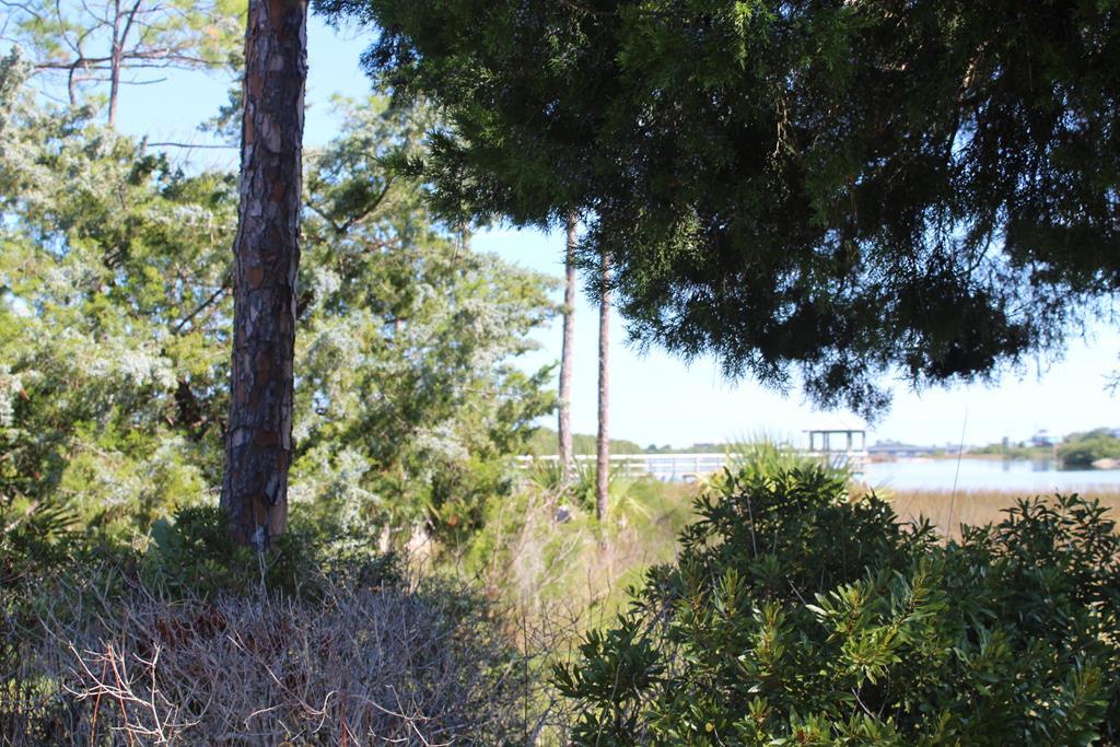 12211 Anchor Cove Dr - Photo 1