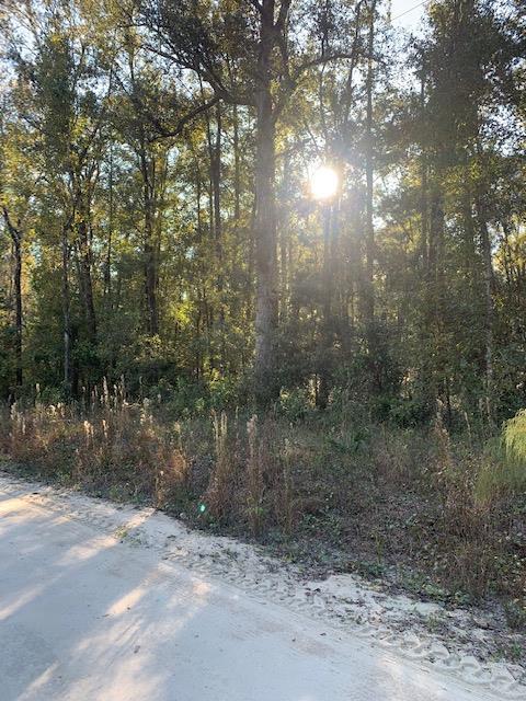 LOT 4 743RD ST - Photo 1