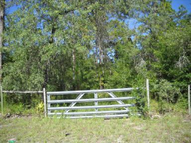 Lot 43 808th Street - Photo 1 Lot 43 808th Street - Photo 1
