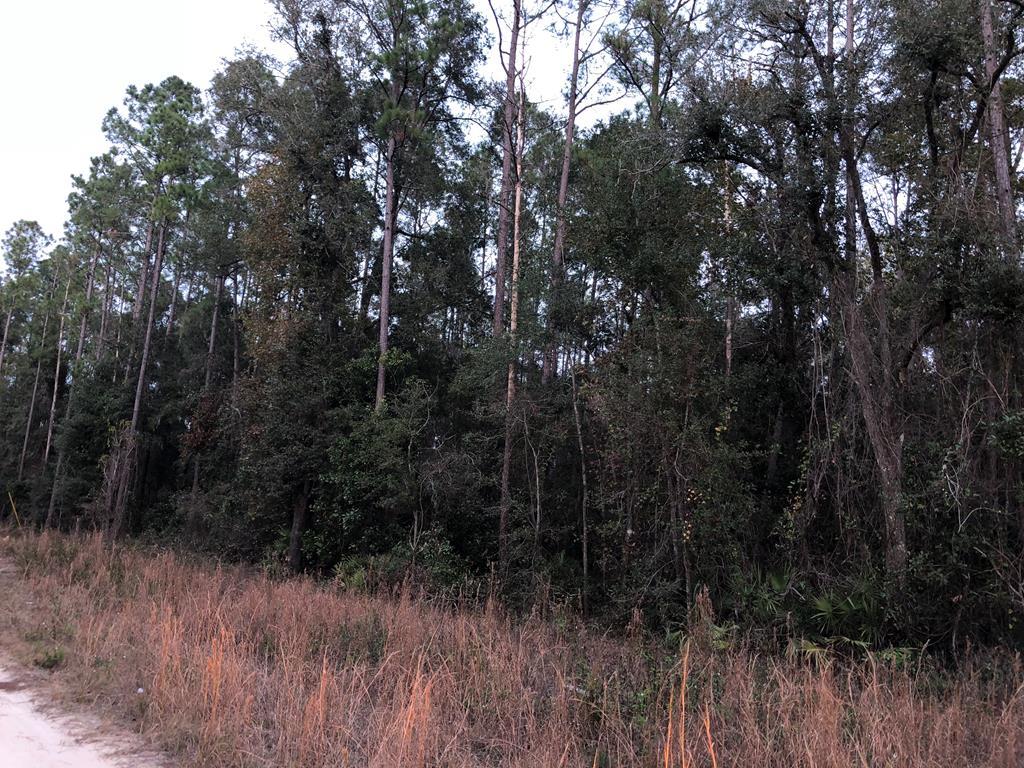 796th - Photo 1