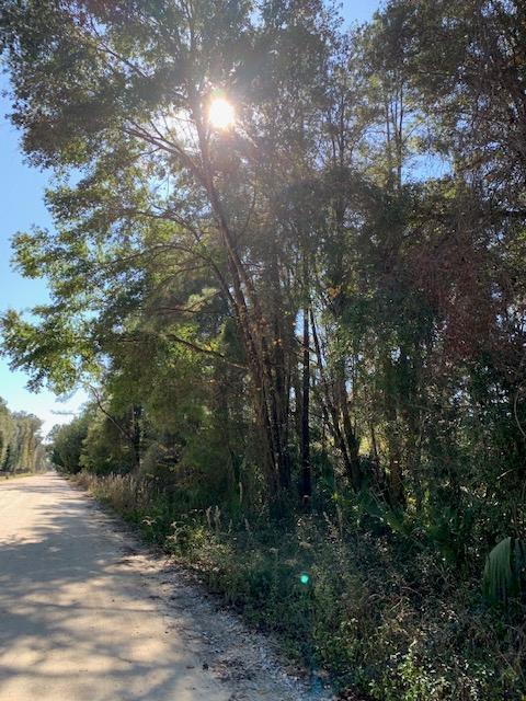 LOT 91 709TH ST - Photo 1